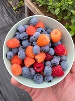 IMG_6274.jpeg