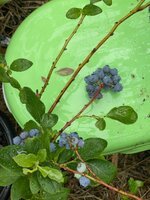 IMG_3494.jpeg