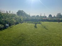 IMG_4900.jpg