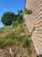 IMG_4918 - kopie.jpg