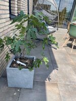 IMG_4939 - kopie.jpg