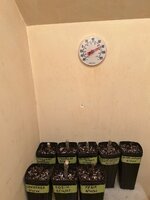 IMG_1345.jpeg