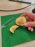 20250618_102948.jpg