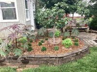IMG_2612.jpeg