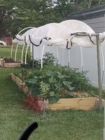 IMG_20250609_183905193.jpg