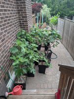 PXL_20250619_003906377.jpg