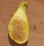20250618_171648.jpg