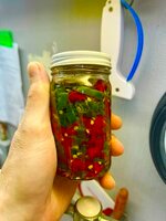 jar.jpg