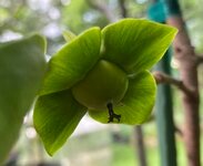 IMG_5049.jpeg