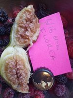 20250616_164306.jpg