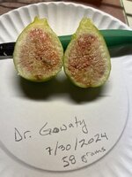 DrGowaty_07302024_3.jpg