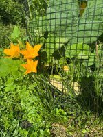 IMG_0120.jpeg