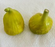 IMG_2502.jpeg