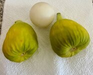 IMG_2504.jpeg