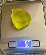 IMG_2505.jpeg