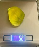 IMG_2506.jpeg