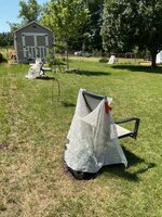IMG_2484.jpeg