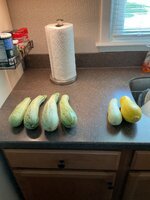 IMG_2485.jpeg