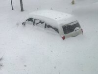 IMG_8583.jpeg