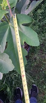 20250623_061353.jpg
