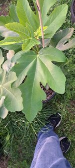 20250623_061357.jpg