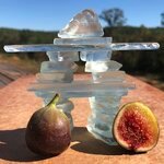 2019-10-23 Lance - Matte Pinta from Brian Melton possibly caprified main crop fig display.jpg