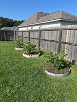 IMG_2799.jpeg