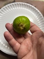 IMG_5846.jpeg
