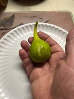 IMG_5854.jpeg
