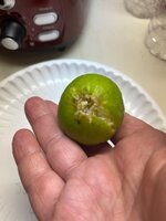 IMG_5855.jpeg