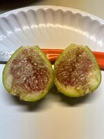 IMG_5856.jpeg