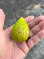 IMG_0565.jpeg