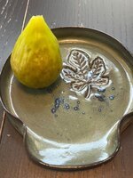 IMG_0567.jpeg