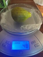 IMG_0570.jpeg