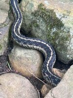 IMG_7139.jpeg