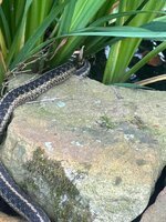 IMG_7140.jpeg
