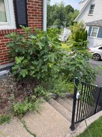 IMG_0166.jpeg