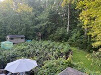 IMG_5118.jpeg