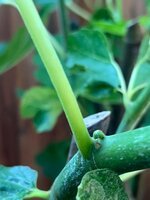 IMG_3897.jpeg