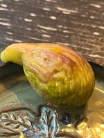 IMG_0597.jpeg