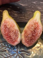 IMG_0599.jpeg