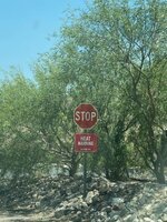 img_1_1750896615184.jpg