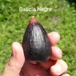 Galicia Negra-20220828_112548.jpg