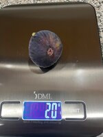 IMG_2542.jpeg