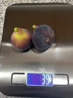 IMG_2543.jpeg