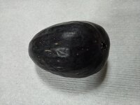 Galicia Negra 1 2023.jpg