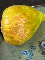 IMG_0614.jpeg