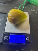 IMG_0615.jpeg