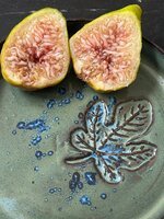 IMG_0619.jpeg