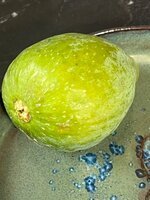 IMG_0617.jpeg